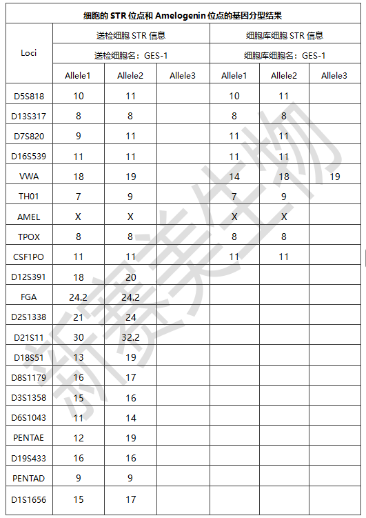 细胞样品分化.png