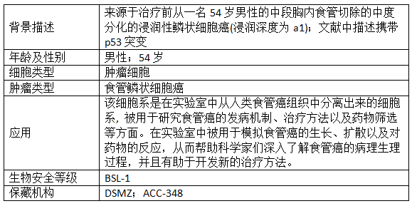 参考资料.png