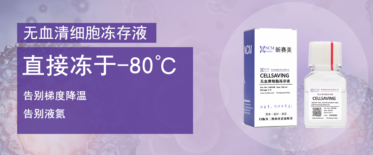 无血清细胞冻存液