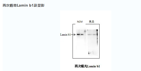 6b362cb0d47f3059d652daf45e8b9e0c.png