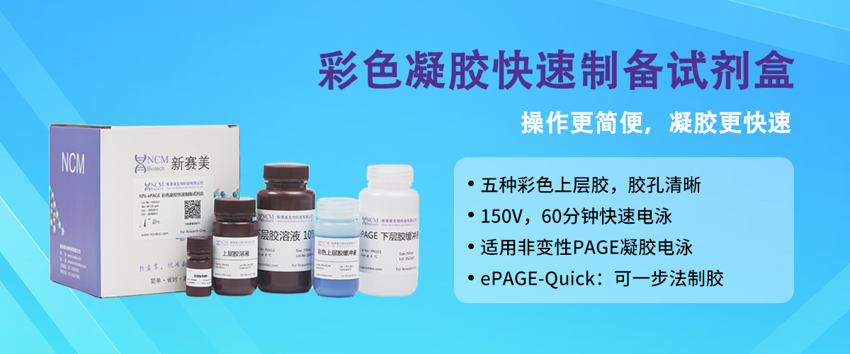 彩色凝胶快速制备试剂盒