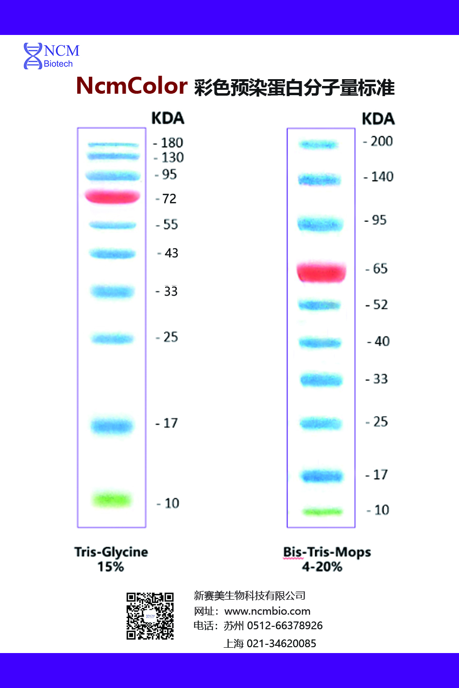 蛋白marker 标准，不干胶3.jpg