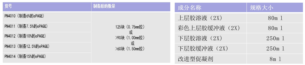 23 (2).png
